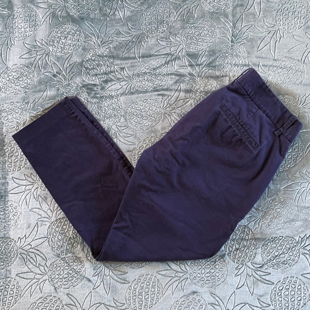 J. Crew Frankie Stretch Blue Petite Chino Pants 8